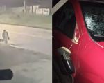 Homem que matou idoso atropelado na Grande BH se entrega, mas responde em liberdade