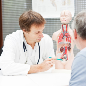 Check-up: o papel da próstata na saúde masculina