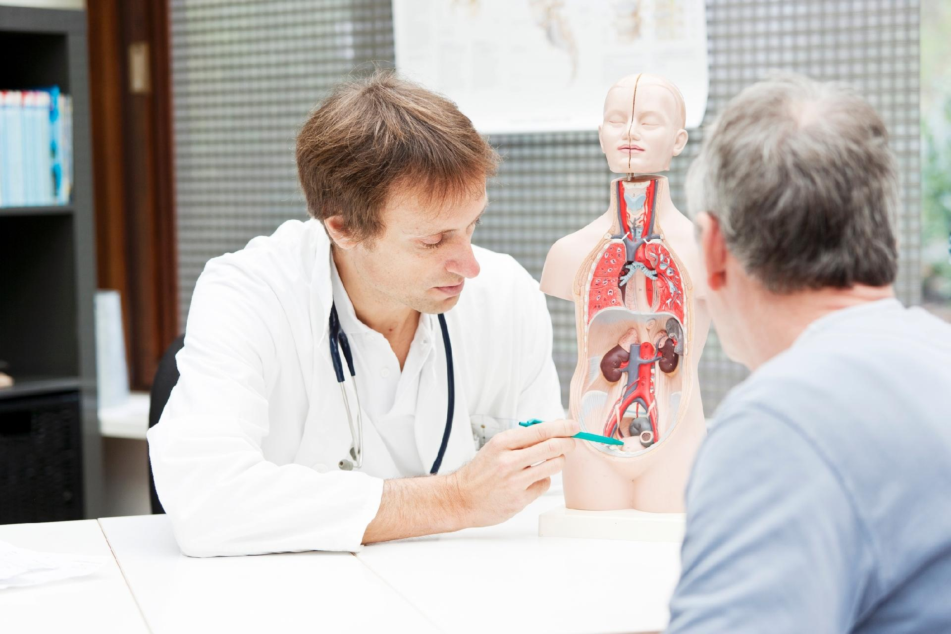 Check-up: o papel da próstata na saúde masculina