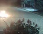 Vídeo: homem mata e ateia fogo em cadela, no bairro Vila Romana, em Divinópolis