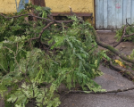 Divinópolis: Prefeitura informa sobre os impactos causados pela chuva na cidade