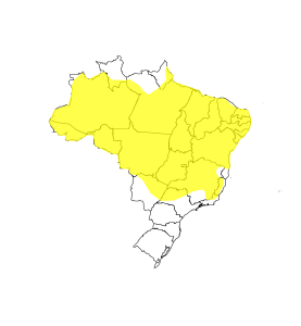 Mais de 620 cidades mineiras est&atilde;o em alerta para tempestade de at&eacute; 50 mm neste domingo (12)