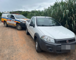 Motorista foge da PM após abandonar carro em mata, em Nova Serrana