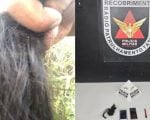 Mãe finge o próprio sequestro para extorquir o filho em BH