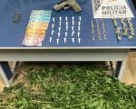 PM troca tiros com traficantes em operação na Grande BH; 257 pés de maconha são apreendidos