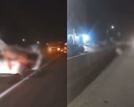 Vídeo: Cavalos morrem atropelados por carro na MG-050, na Grande BH