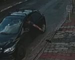 Vídeo: Homem é flagrado jogando filhote de gato pela janela do carro em BH
