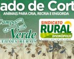 Leilão de gado em Divinópolis: Mais de mil animais à venda nesta sexta-feira (7)
