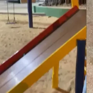 Morador flagra escorpi&atilde;o no 'parquinho' da Pra&ccedil;a da Catedral em Divin&oacute;polis