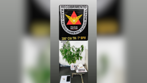 Usu&aacute;rio de drogas &eacute; preso em casa de com&eacute;rcio de entorpecentes, em Bom Despacho