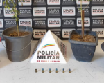 Pés de maconha são apreendidos no Jardim Betânia em Divinópolis