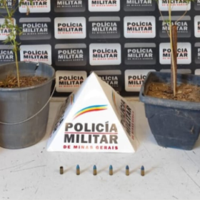Pés de maconha são apreendidos no Jardim Betânia em Divinópolis