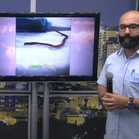 Minas Filtros alerta: Impurezas na &aacute;gua &eacute; a principal causa da verminose