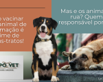 Não vacinar seu animal de estimação é crime de maus-tratos!