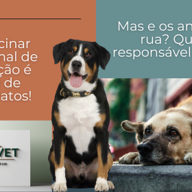 Não vacinar seu animal de estimação é crime de maus-tratos!