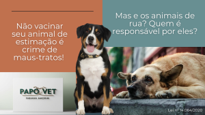 Não vacinar seu animal de estimação é crime de maus-tratos!
