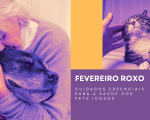 Fevereiro Roxo: Seu Pet Idoso Merece Atenção
