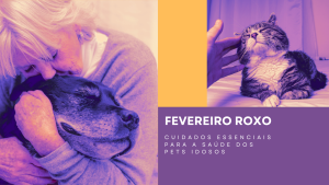 Fevereiro Roxo: Seu Pet Idoso Merece Atenção