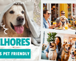 Sabe onde você pode ir com seus pets?