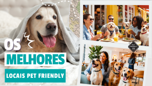 Sabe onde você pode ir com seus pets?
