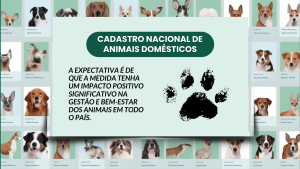Benefícios, Abrigos e Microchipagem