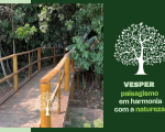 Conheça o Segredo do Paisagismo em Harmonia com a Natureza no Vesper