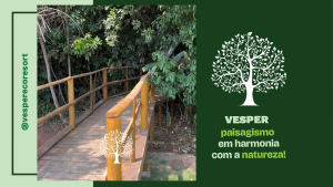 Conhe&ccedil;a o Segredo do Paisagismo em Harmonia com a Natureza no Vesper