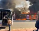VÍDEO: avião cai e atinge veículos em avenida de SP