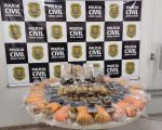 BH: Polícia Civil prende em flagrante suspeito de tráfico de drogas