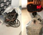 Funcionário é preso por furtar 50 kg de cobre da própria empresa em Divinópolis