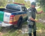 Homem suspeito de engaiolar pássaros silvestres é preso e multado em quase R$ 17 mil, em Nova Serrana