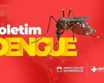 Casos notificados de dengue duplicam em menos de 15 dias, em Divinópolis; veja relatório