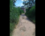 Mato alto no bairro Planalto aumenta risco para pedestres, especialmente estudantes