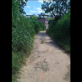 Mato alto no bairro Planalto aumenta risco para pedestres, especialmente estudantes