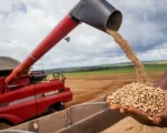 Safra de grãos no Brasil deve bater recorde, apesar dos desafios climáticos