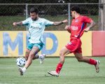 Cruzeiro fará jogos-treinos e um deles é contra o Botafogo.