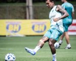 Dudu, do Cruzeiro, fala sobre a grama sintética.