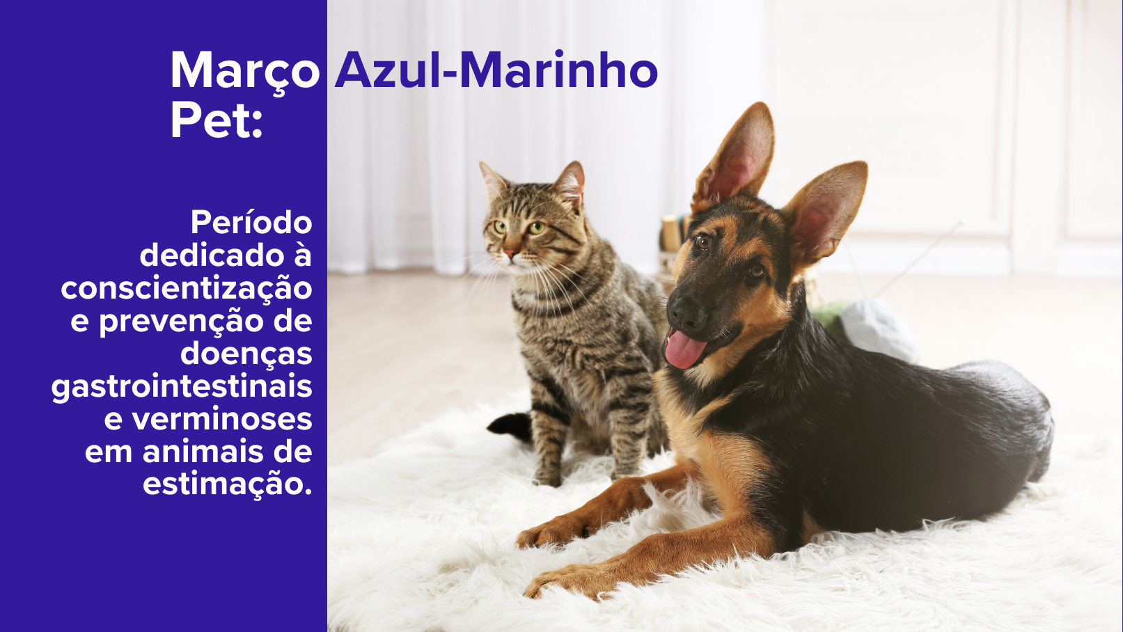 O Perigo das Verminoses e Doenças Gastrointestinais