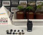 PM apreende pés de maconha e haxixe em operação no bairro Niterói, em Divinópolis