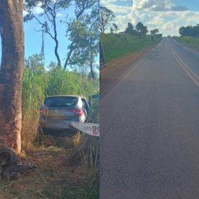 Idoso morre após carro bater em árvore, na BR-354, em Iguatama