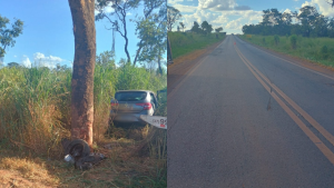 Idoso morre ap&oacute;s carro bater em &aacute;rvore, na BR-354, em Iguatama