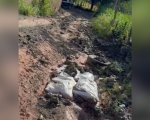 VÍDEO: Moradores do Ferrador solicitam manutenção urgente na estrada rural