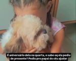 Menina de Divinópolis pede de aniversário a volta de seu cão perdido