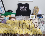 Mais de mil pinos de cocaína e outras drogas foram apreendidas em Operação da PCMG em Nova Serrana