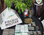 Planta e colhe: pés de maconha são localizados em quintal de casa usada para o tráfico de drogas, em Itaúna