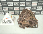 Divinópolis: jovem é preso no Jardim Candidés por queimar fios furtados de hidrelétrica
