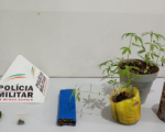 Maconha de vários tipos é apreendida e homem é preso, em Nova Serrana