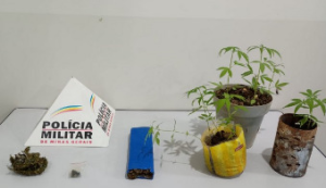 Maconha de v&aacute;rios tipos &eacute; apreendida e homem &eacute; preso, em Nova Serrana
