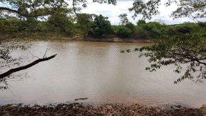 Corpos de crian&ccedil;as que se afogaram no Rio Paraopeba, em Papagaios s&atilde;o encontrados