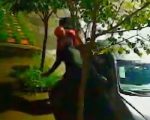 VÍDEO: entregadores são suspeitos de furtar cachorra em BH